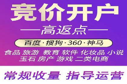 成功SEM投放案例分享
