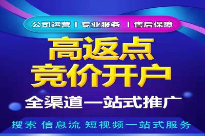 sem推广竞价的智慧与策略：多维度成功案例分析